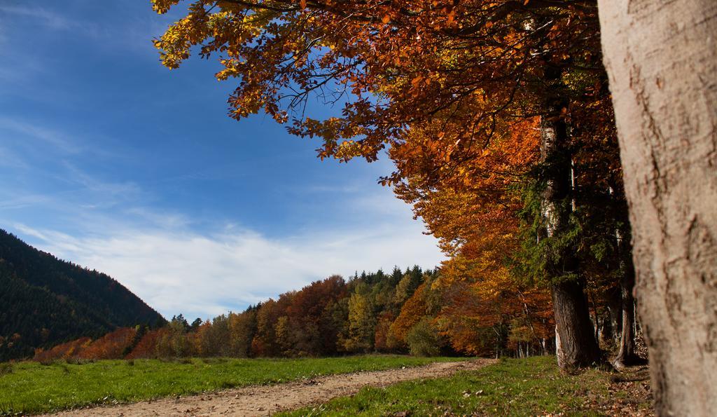 Gasthof Fischerstueberl Rottau Dış mekan fotoğraf